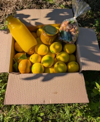 Paket Okusi Neretve izbliza – mandarine, limuni i domaći proizvodi