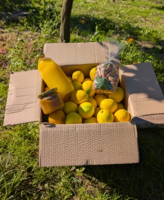 Okusi Neretve – paket mandarina, Meyer limuna, soka, džema i smokava u voćnjaku u Kominu